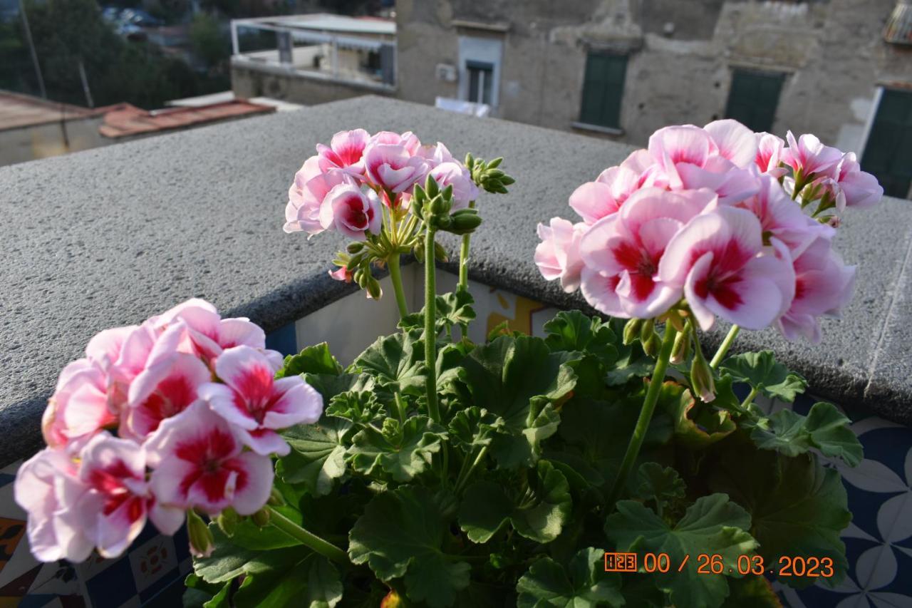 Apartment Casa Materdei *
